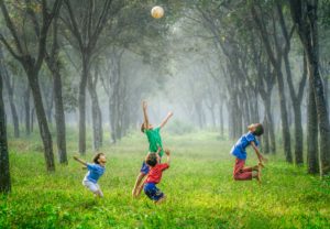Read more about the article dream job